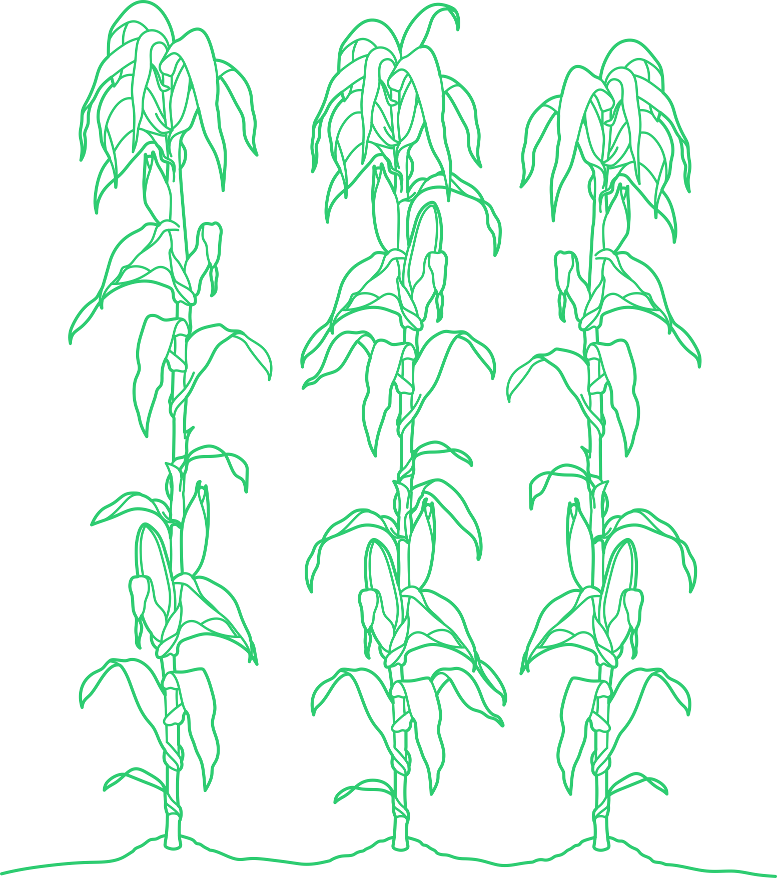 Plants Agriculture Sticker Outline Svg File Free Vectors